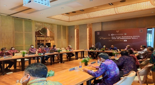 Penyusunan One Page Summary (OPS) TPID Se-Provinsi Bali