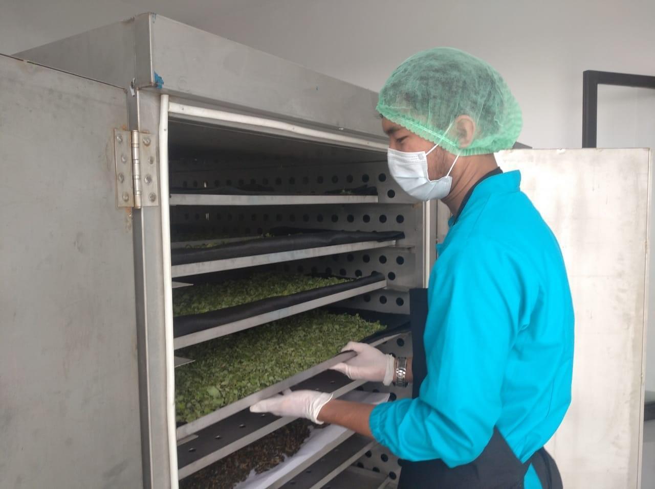 pengeringan di oven