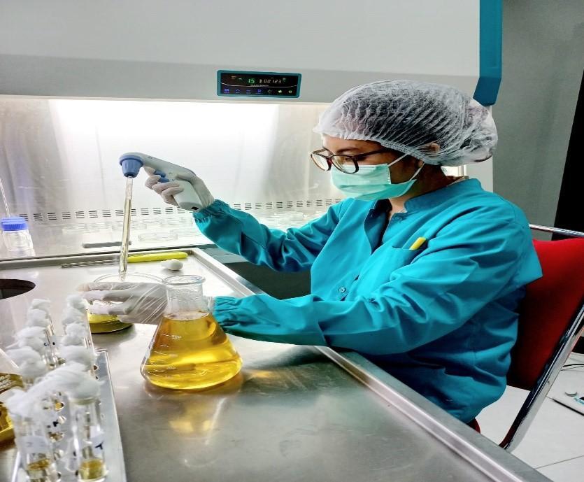 produksi obat