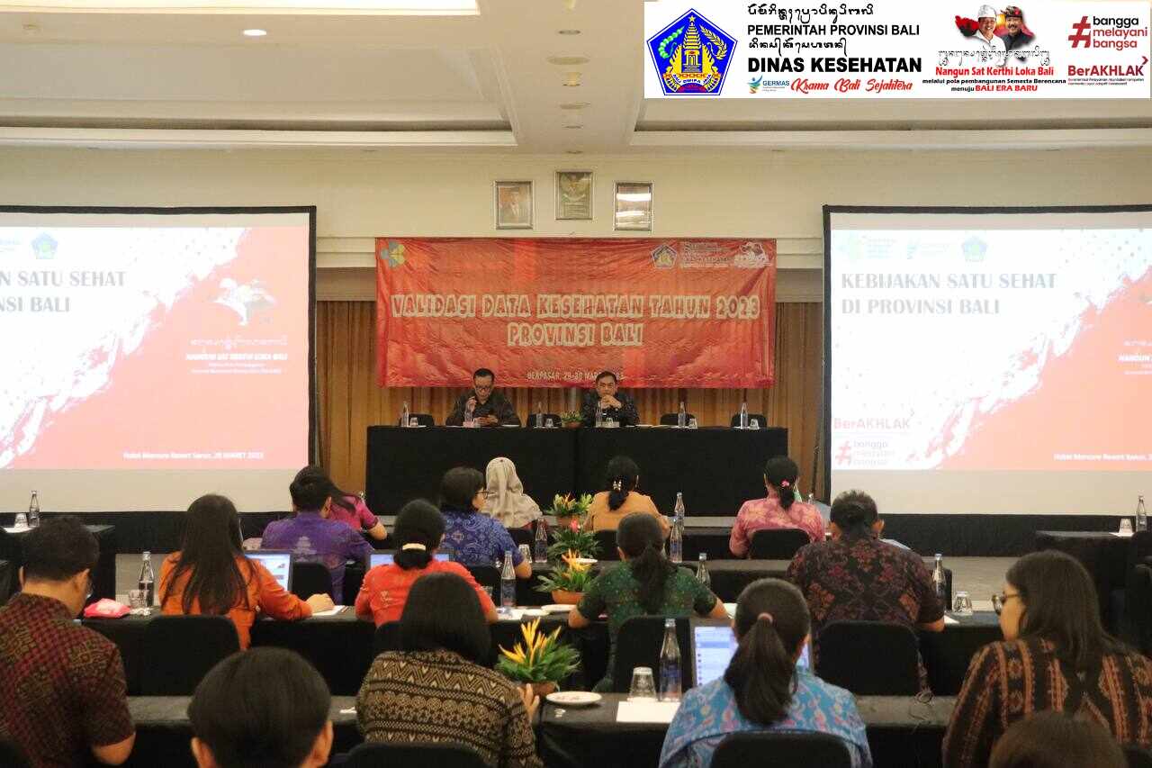 Validasi Data Kesehatan _ Kadiskes Bali