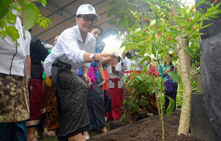 Ny. Putri Koster Dorong Pengelolaan Pekarangan Rumah sesuai "HATINYA PKK"