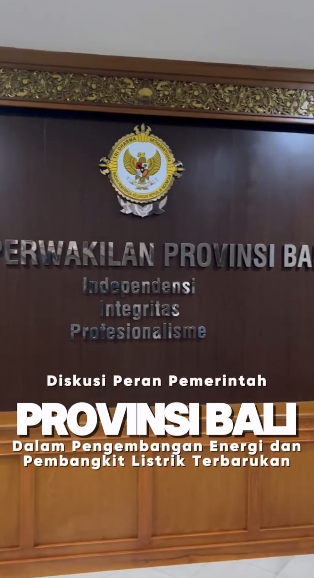 Diskusi Peran Pemerintah Provinsi Bali Dalam Pengembangan Energi dan Pembangkit Listrik Terbarukan