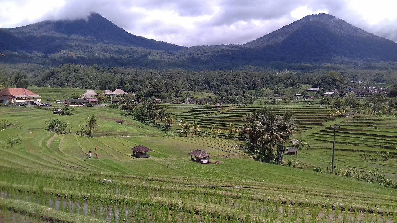 JATILUWIH TERACES