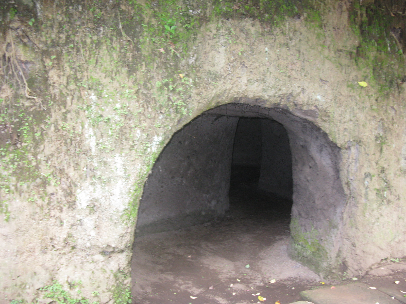 JAPANESE CAVE