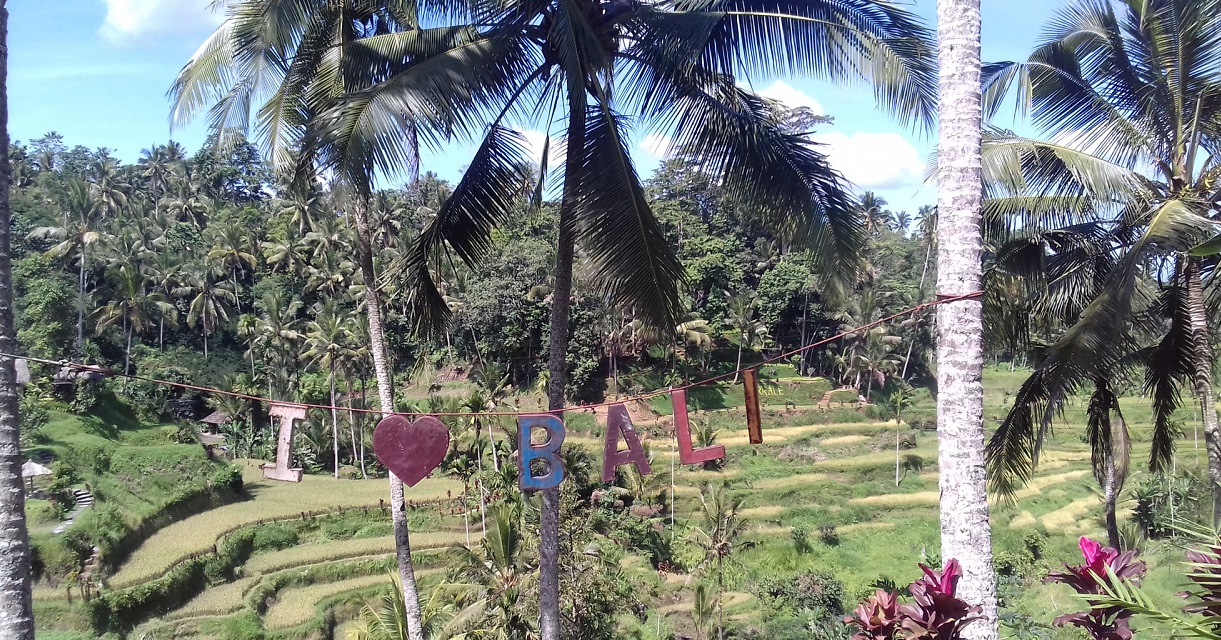 KELIKI RICE TERRACE