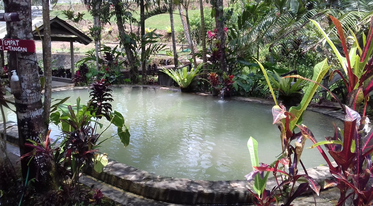 ANGSERI HOT SPRING WATER