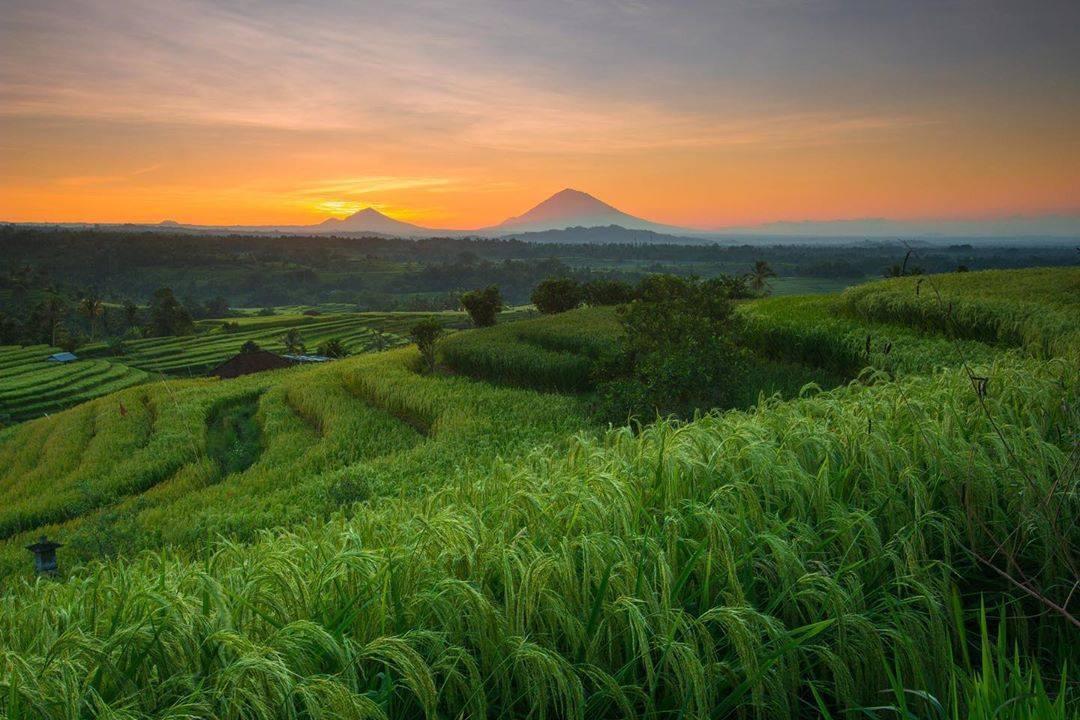 SE Nomor 15 Tahun 2021,Daya Tarik Wisata di Bali Mulai Dibuka Dengan Kapasitas Pengunjung 50%
