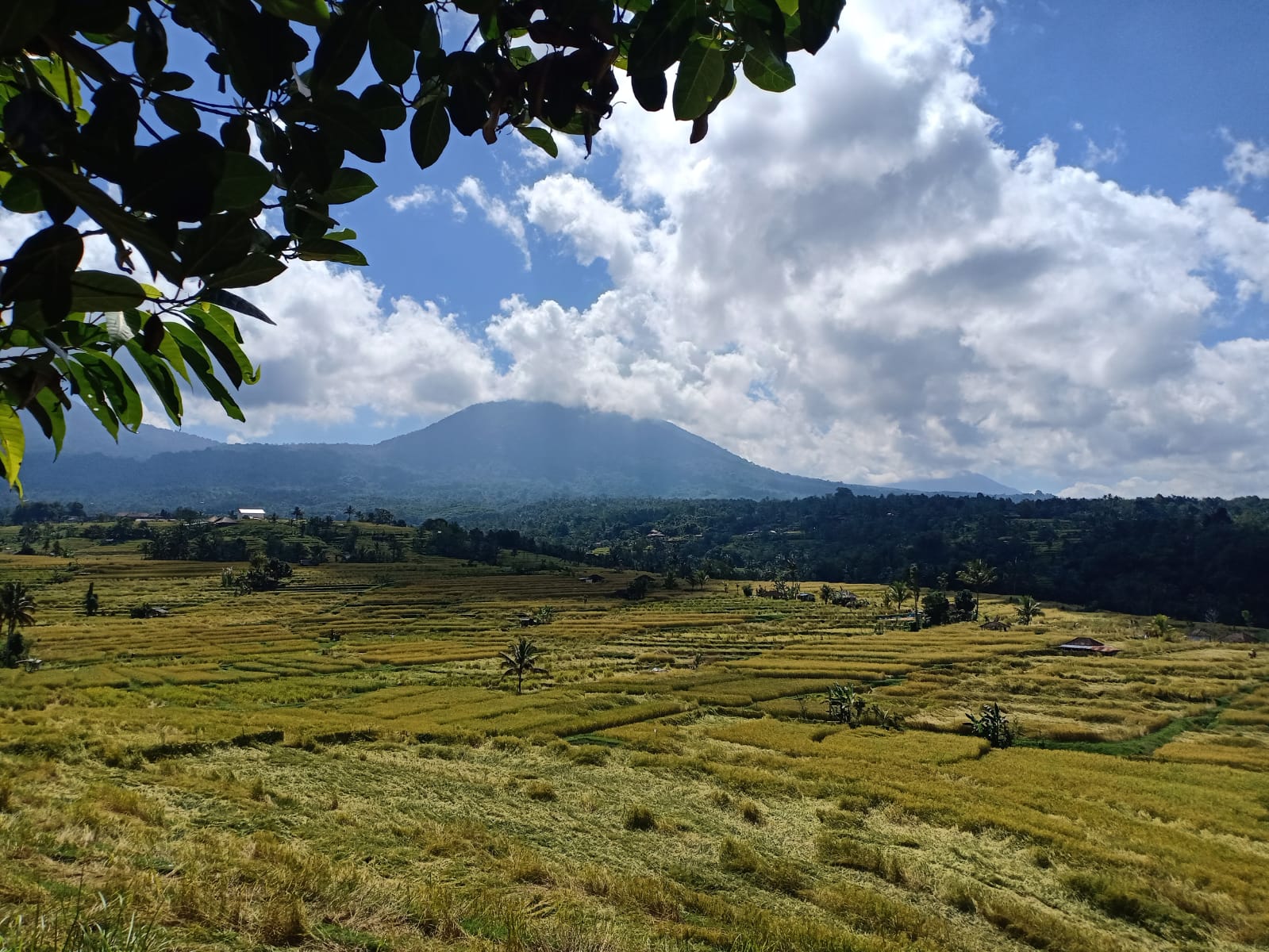 Apa yang boleh dan tidak boleh dilakukan Wisman di Bali