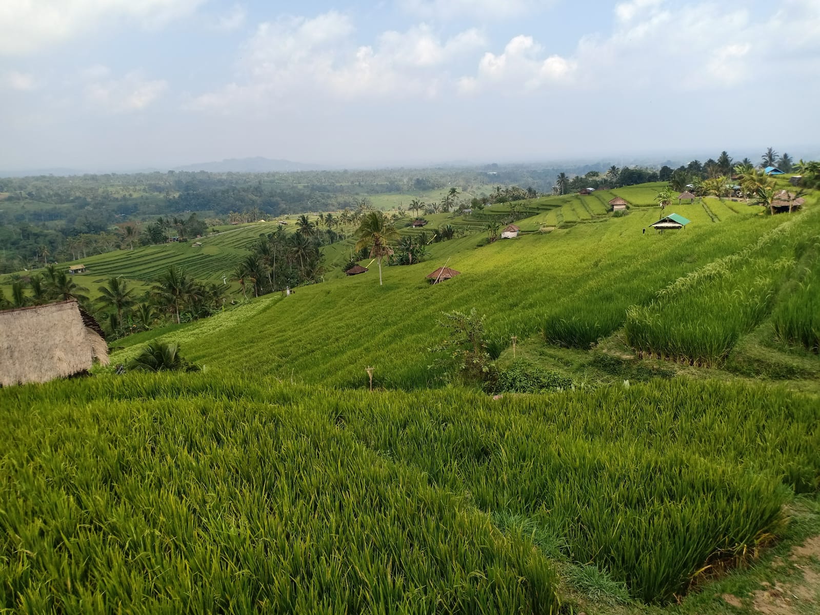 Menparekraf Siap Dukung Perkembangan Industri Spa di Bali