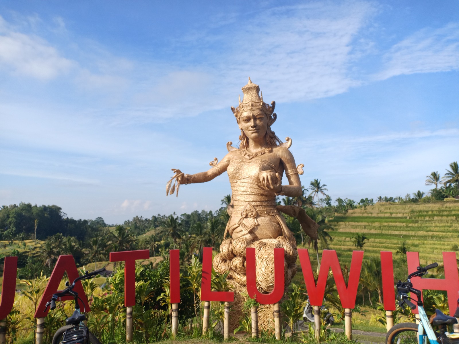Mulai Minggu Depan Pemprov Bali Gelar Sidak Optimalisasi PWA