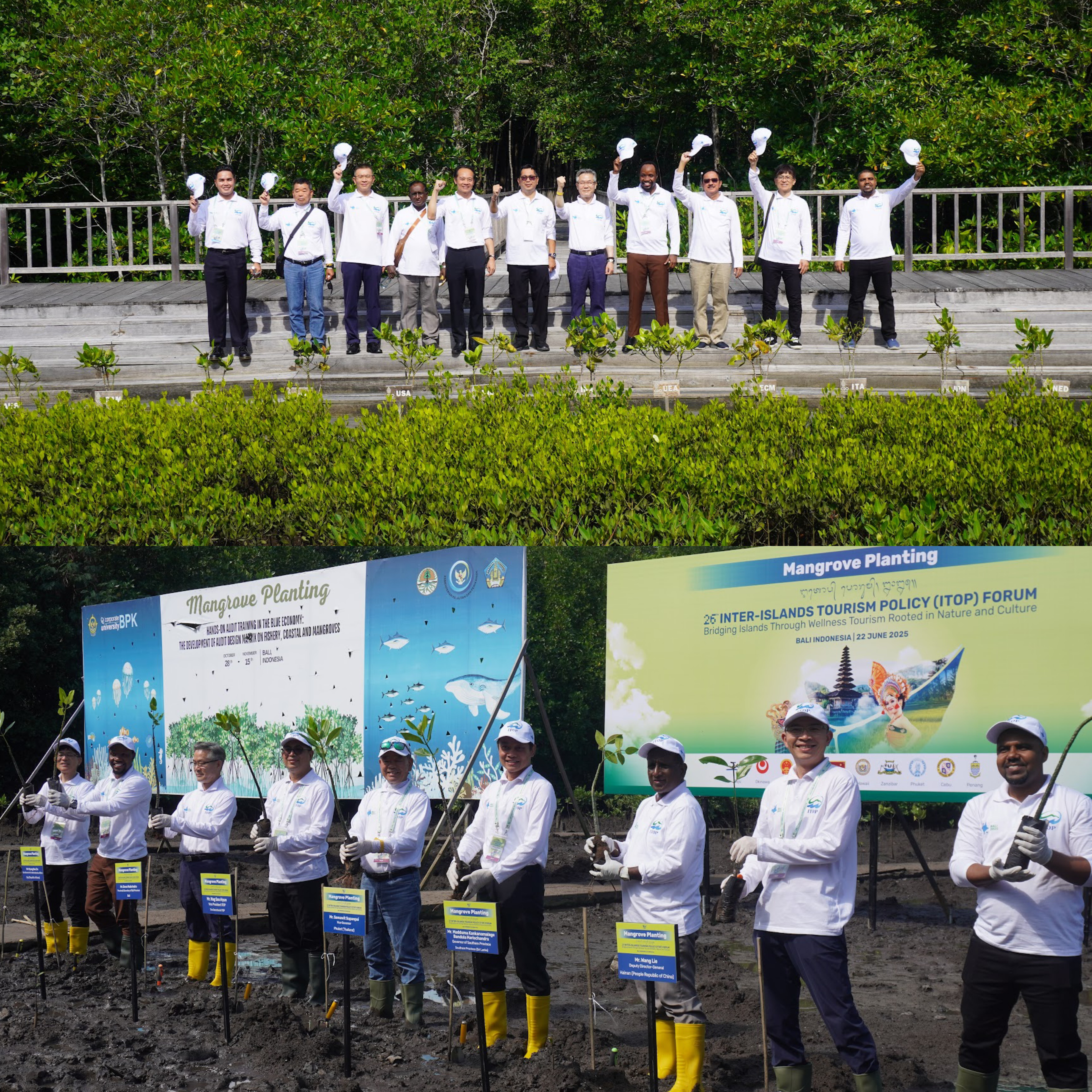 Delegasi ITOP Forum Tanam Mangrove