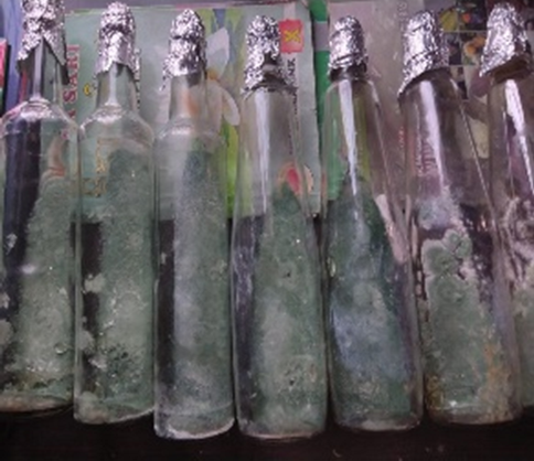 Perbanyakan Trichoderma