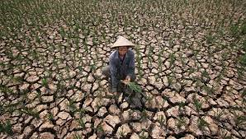 Fenomena El Nino untuk Sektor Pertanian