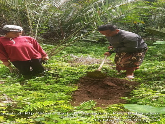 Evaluasi Kesesuaian Lahan bagi Tanaman Strategis