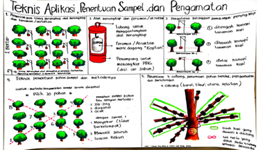 Hasil Pengendalian Penggerek Buah Kopi dengan Perangkap