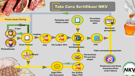 Tatalaksana Memperoleh NKV