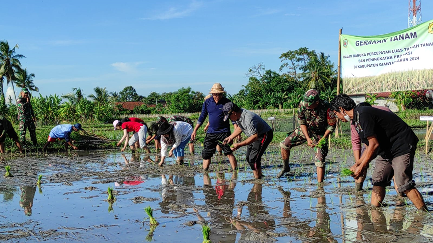 Gerakan Tanam Padi Bersama Kadistanpangan Bali di Subak Kengetan