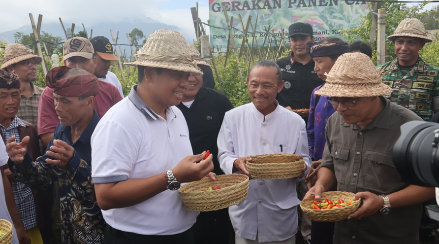 Gerakan Panen Cabai dan Bawang Merah bersama Pj Gubernur Bali di Desa Songan B, Kecamatan Kintamani, Kabupaten Bangli
