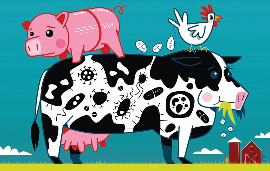 Antimicrobial Resistance (AMR)