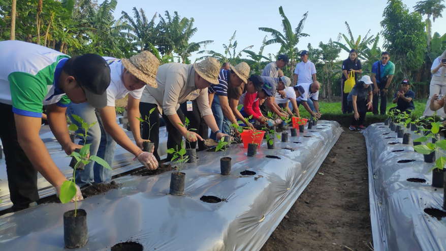 GENTA PATEN CABAI BERSAMA PEMERINTAH PROVINSI BALI