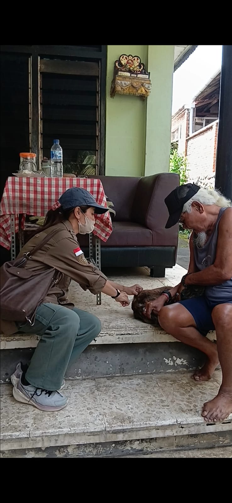 Kasus Gigitan Anjing di Buleleng, Tim Lakukan Vaksinasi dan Penanganan Anjing Liar di Kelurahan Kendran