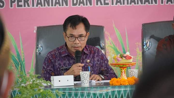 Bali Pertahankan Kinerja Ketahanan Pangan, Raih Peringkat 3 Nasional IKP 2025