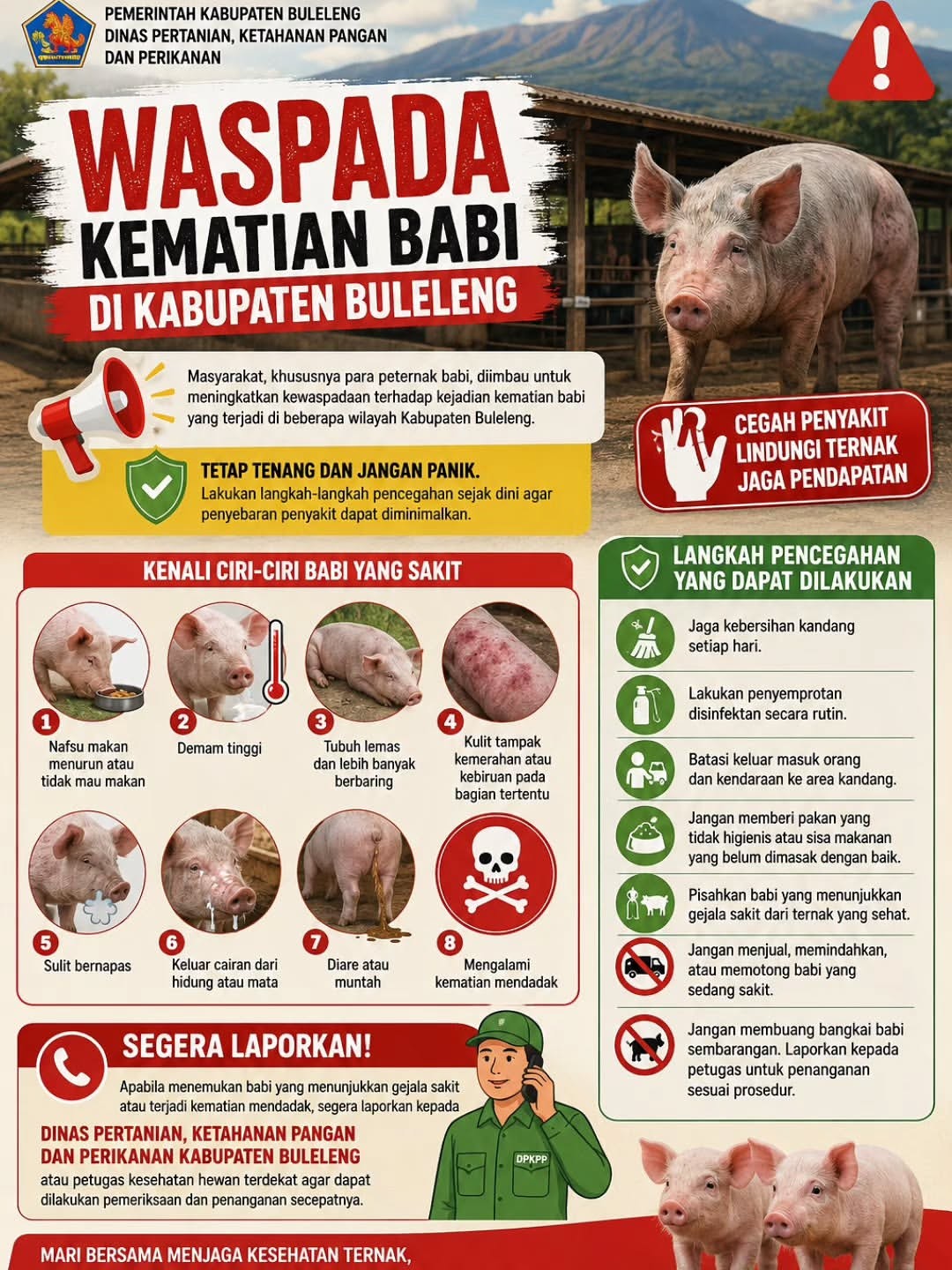 Waspada Kematian Babi
