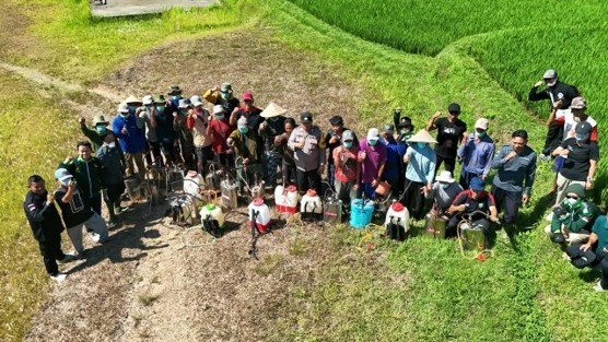 GERAKAN PENGENDALIAN OPT SEREALIA DI KABUPATEN TABANAN