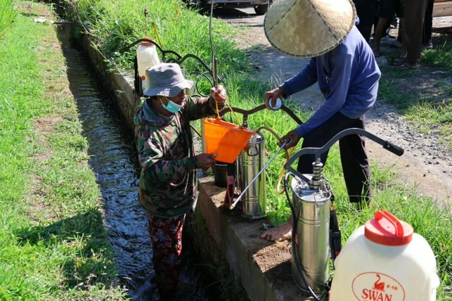 GERAKAN PENGENDALIAN OPT SEREALIA DI KABUPATEN TABANAN3