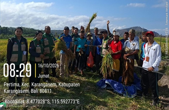 Sukses Terapkan PPHT Padi, Hasil Panen Subak Desa Timbrah Karangasem Tembus 8,69 Ton Hektar