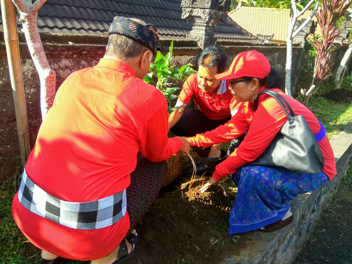 Dokumentasi - Gerakan Penanaman dalam rangka Pengembangan Taman Keanekaragaman Hayati (KEHATI) di Pura Dalem Pingit - Kabupaten Bangli