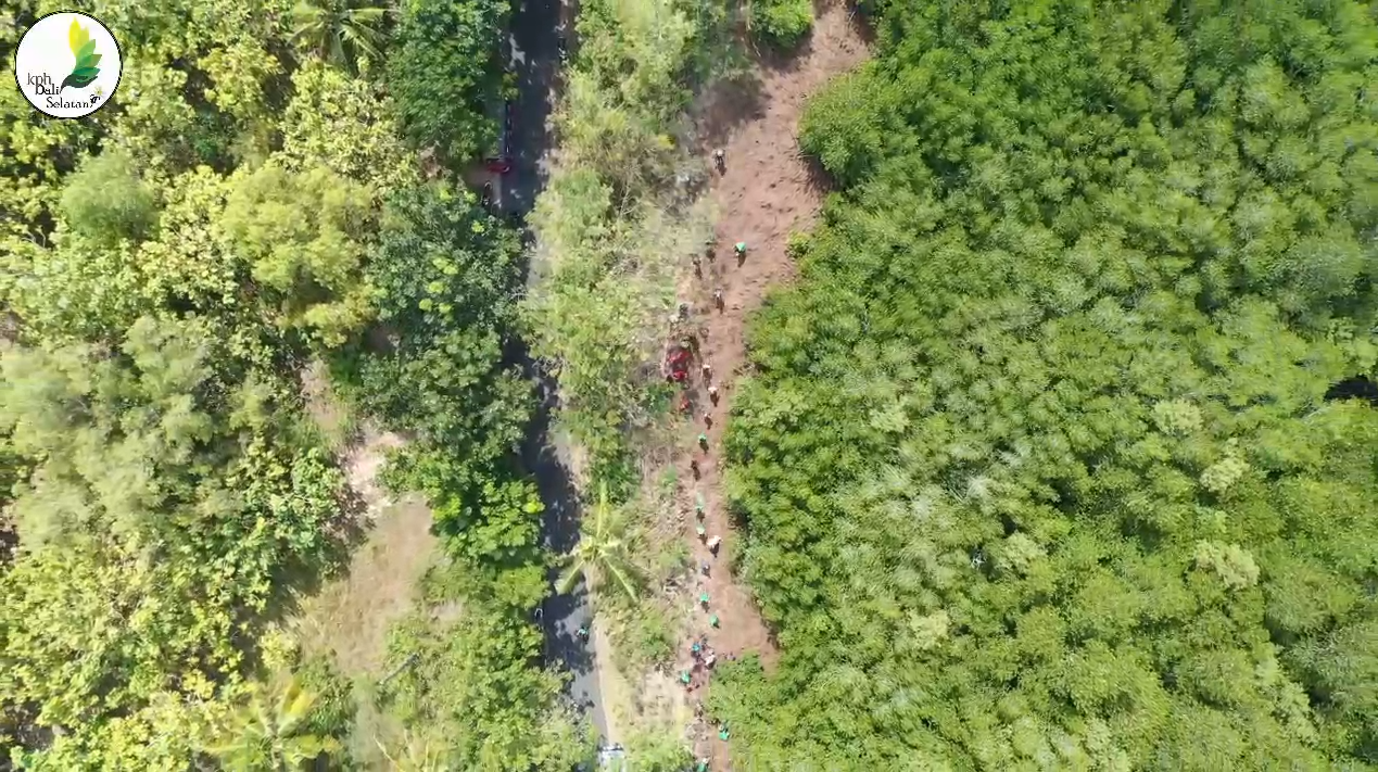 Aksi Penanaman Pohon Kelompok Pecinta Hutan Mangrove Surya Mandiri bersama UPTD. KPH Bali Selatan