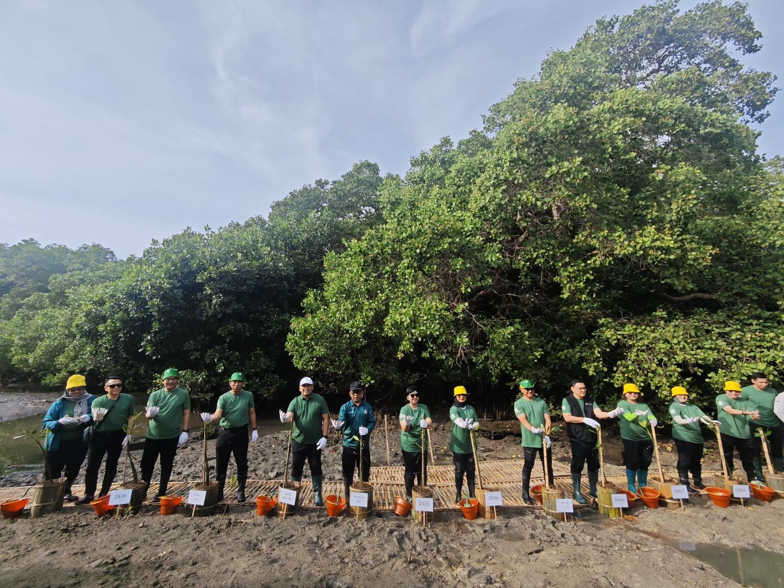 Pemerintah Provinsi Bali Apresiasi Program Penanaman 1.000 Pohon Bakau oleh Bank Indonesia untuk Dukung KKI 2025 Net Zero Emission