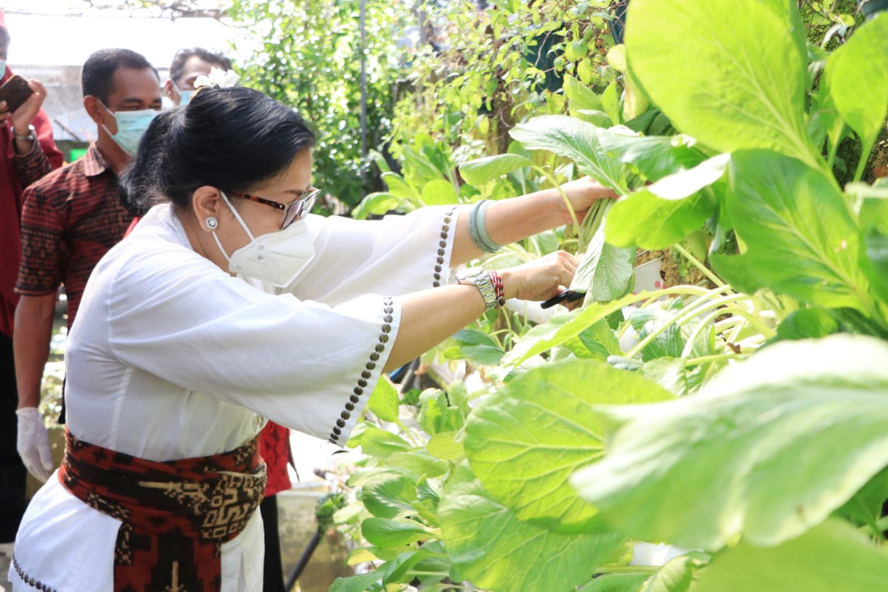 Ny Putri Koster Harap BPTP Bali Terus Kembangkan Hasil Pertanian Bali