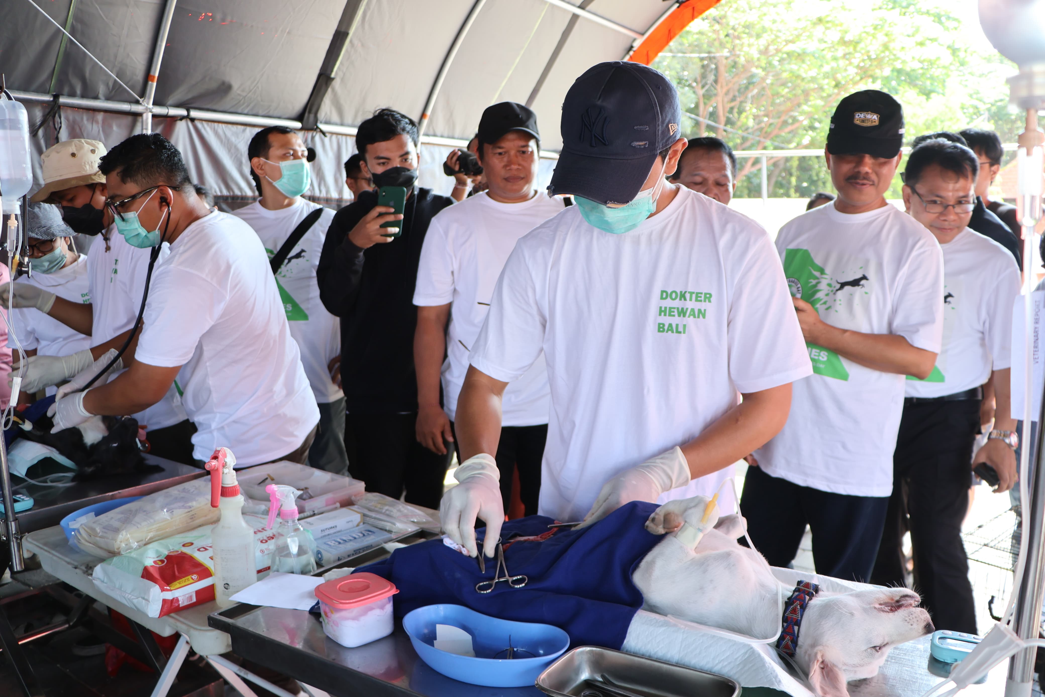 Pemerintah Provinsi Bali Targetkan Bali Bebas Rabies Tahun 2030