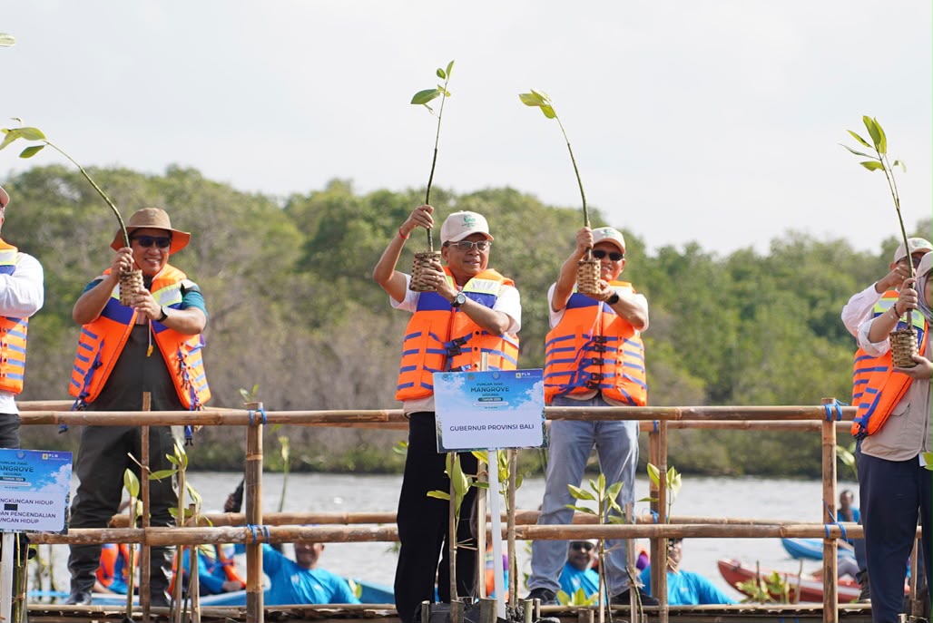 Gubernur Koster Dorong Gerakan Tanam Mangrove Setiap Bulan, Perkuat Ekosistem Pesisir Bali