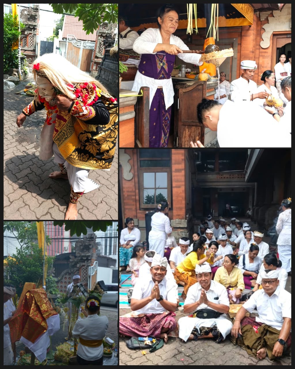 WhatsApp Image 2026-10-26 at 11.46.30