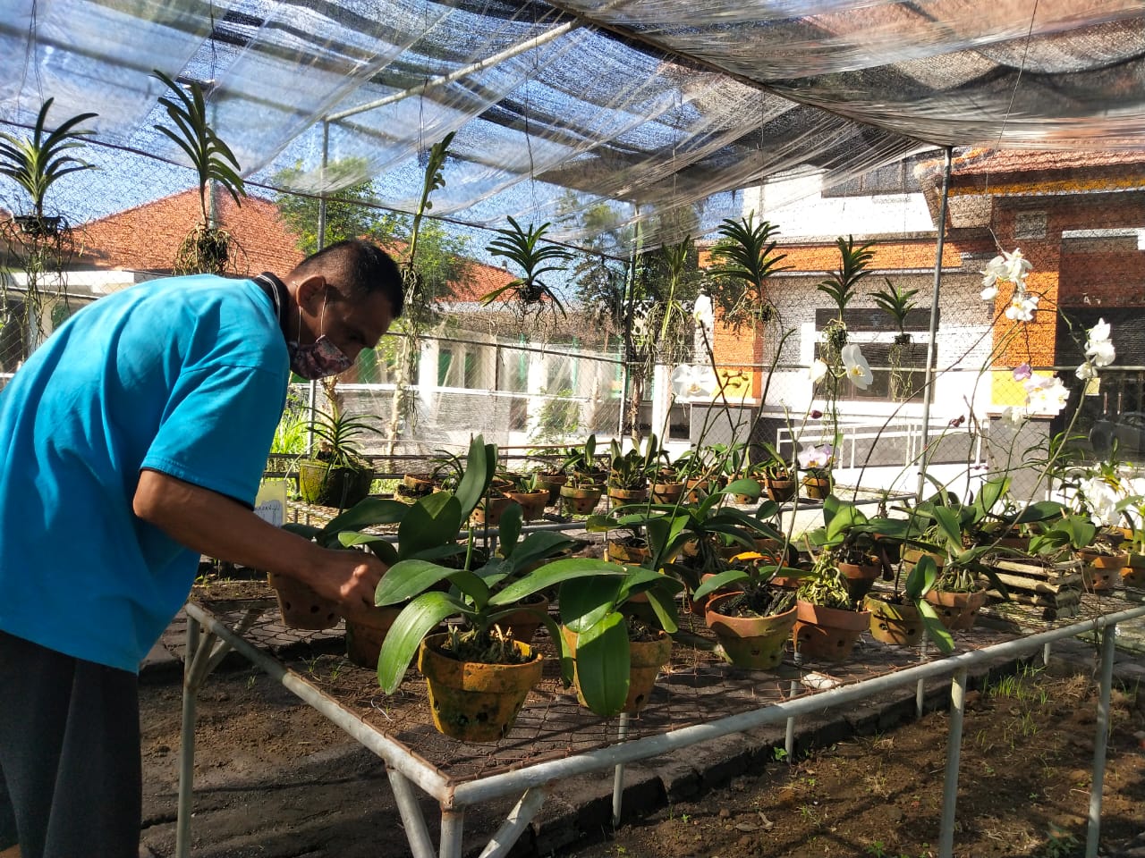 Teman ODGJ diajak untuk beraktifitas fisik dan berjemur untuk tetap sehat di masa Pandemi ini