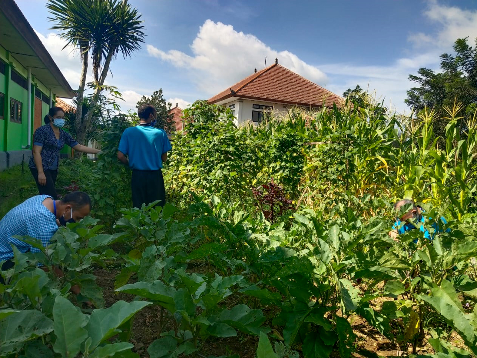 Hasil kebun kita hari ini
