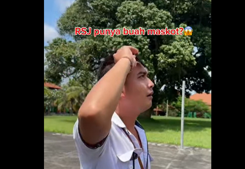 Buah leci adalah maskot Rumah Sakit Jiwa Provinsi Bali
