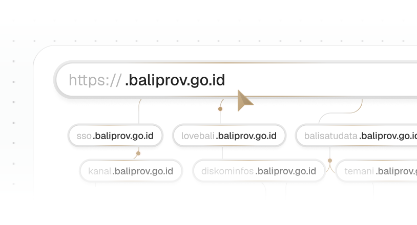 Pengelolaan Domain baliprov.go.id